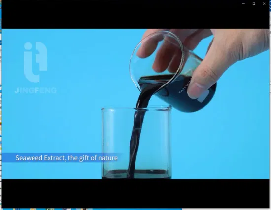 Extractos de algas Extracto concentrado de algas marinas en escamas de fertilizante orgánico soluble en agua en espiral fuerte